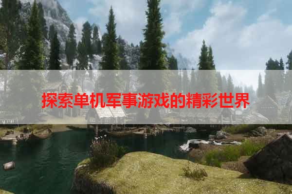 探索单机军事游戏的精彩世界
