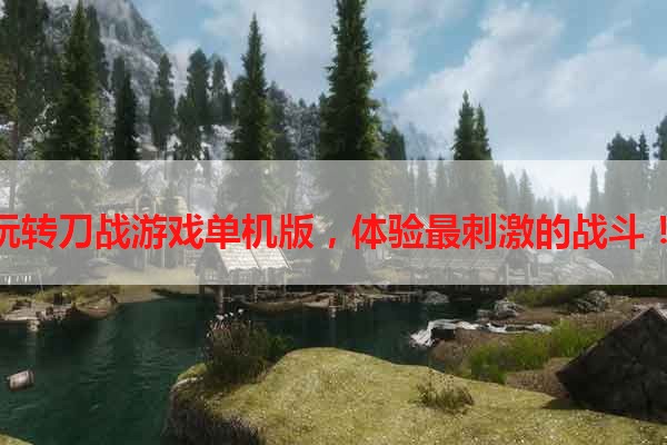 玩转刀战游戏单机版，体验最刺激的战斗！