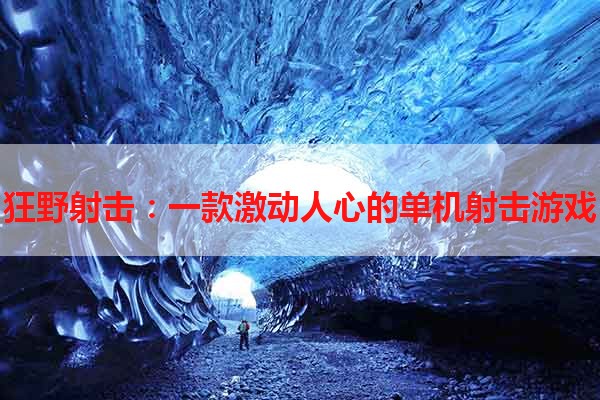 狂野射击：一款激动人心的单机射击游戏
