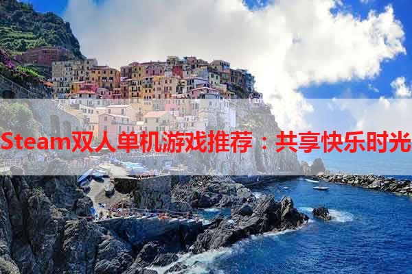 Steam双人单机游戏推荐：共享快乐时光