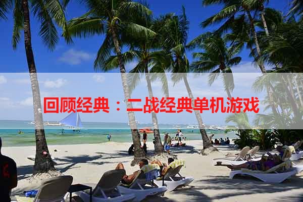 回顾经典：二战经典单机游戏