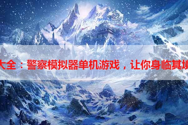 秘籍大全：警察模拟器单机游戏，让你身临其境执法