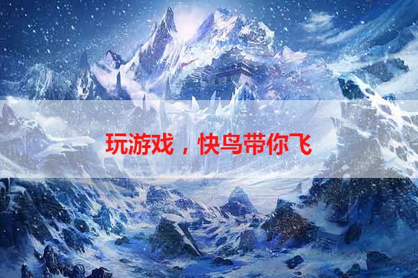 玩游戏，快鸟带你飞