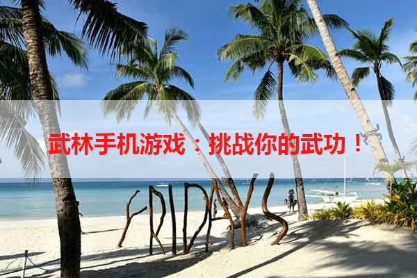 武林手机游戏：挑战你的武功！