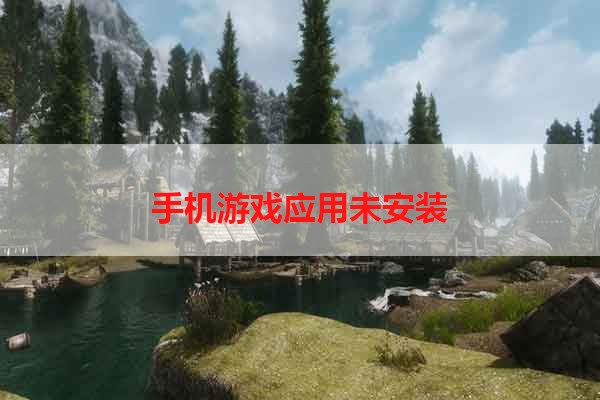 手机游戏应用未安装